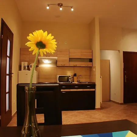 Apartment Old Town Slawkowska