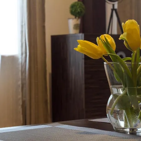 Old Town Slawkowska Apartment Krakow